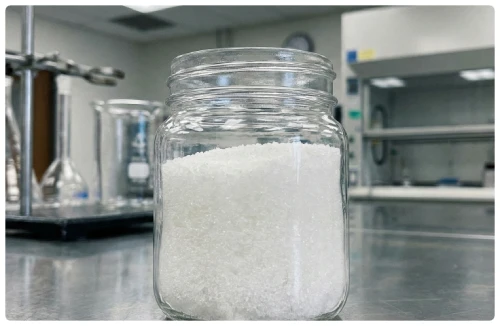 Xylitol natural sweetener ingredient used in DentaBiome dental health chewable